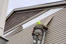 Best Vinyl Siding Installation  in Dillingham, AK